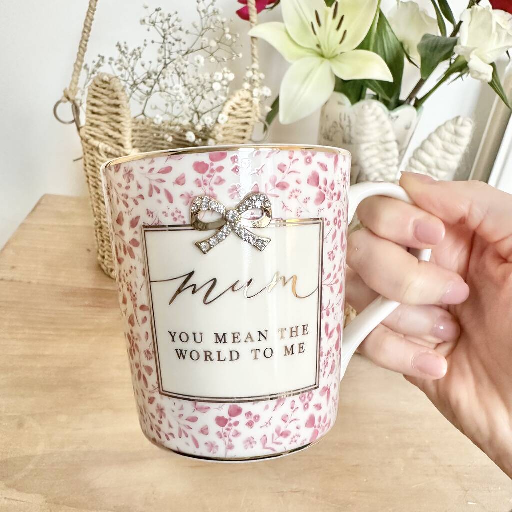 Mum You Mean The World To Me Mug