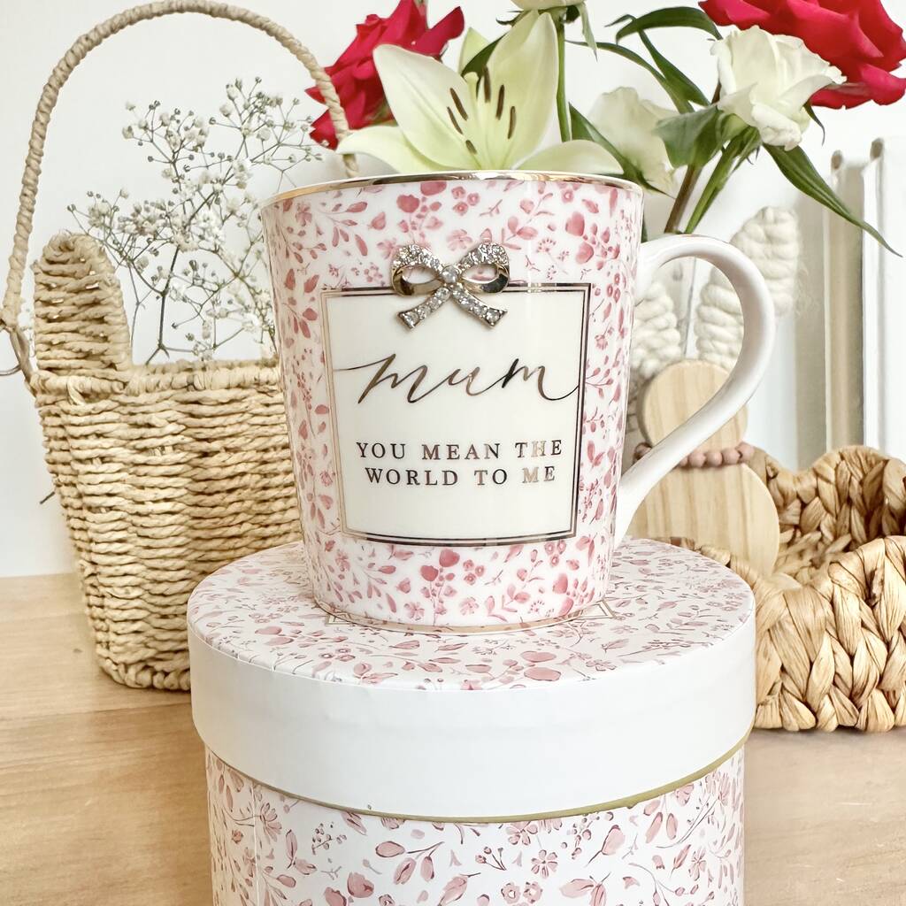 Mum You Mean The World To Me Mug
