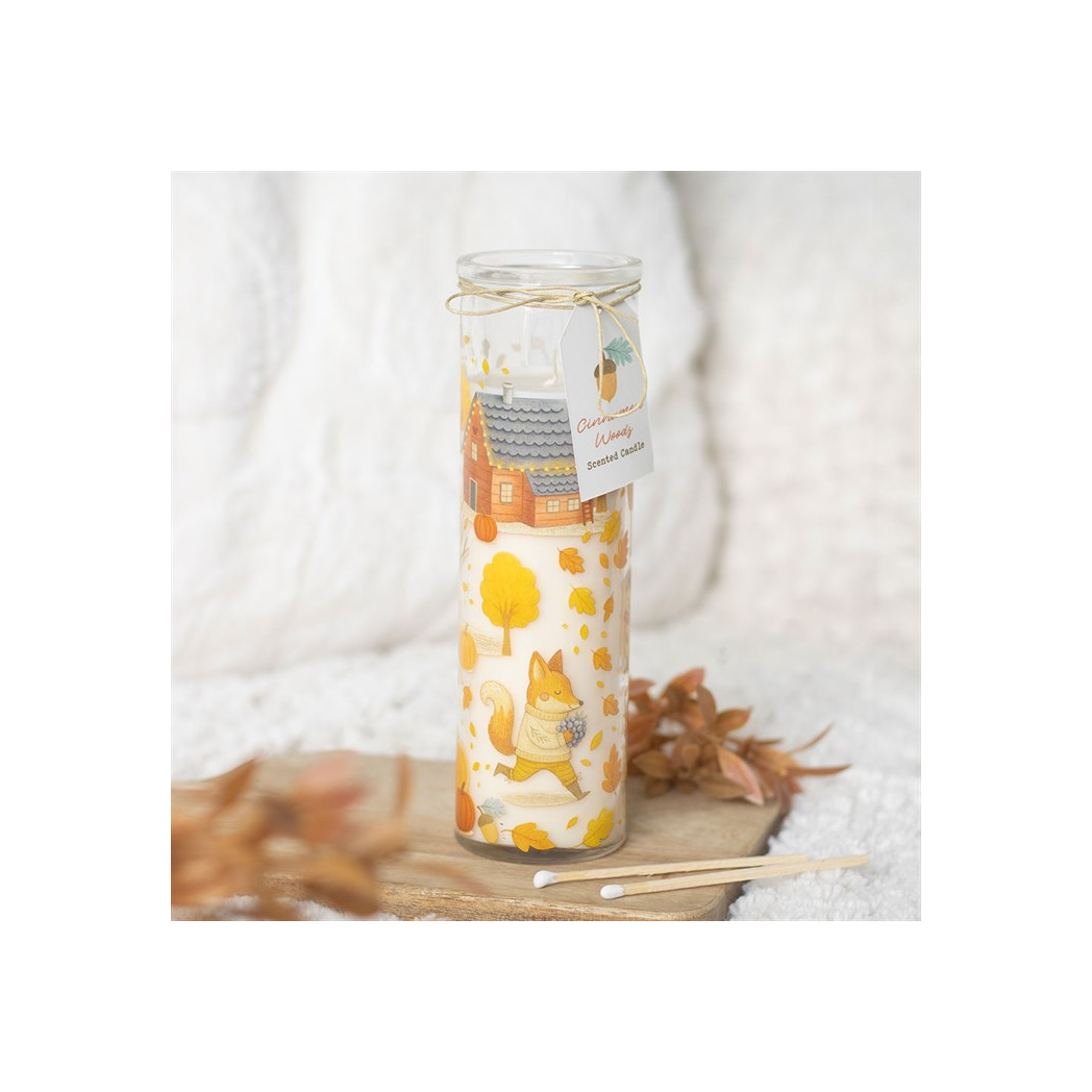 Cinnamon Woods Scented Tube Candle