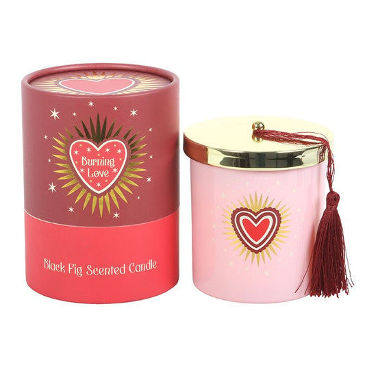 Burning Love Black Fig Scented Candle