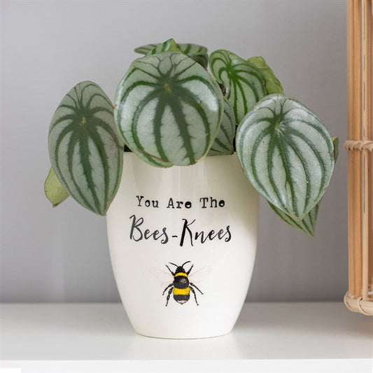 You Are The Bees Knees Ceramic Planter - Penny Rose Home and Gifts