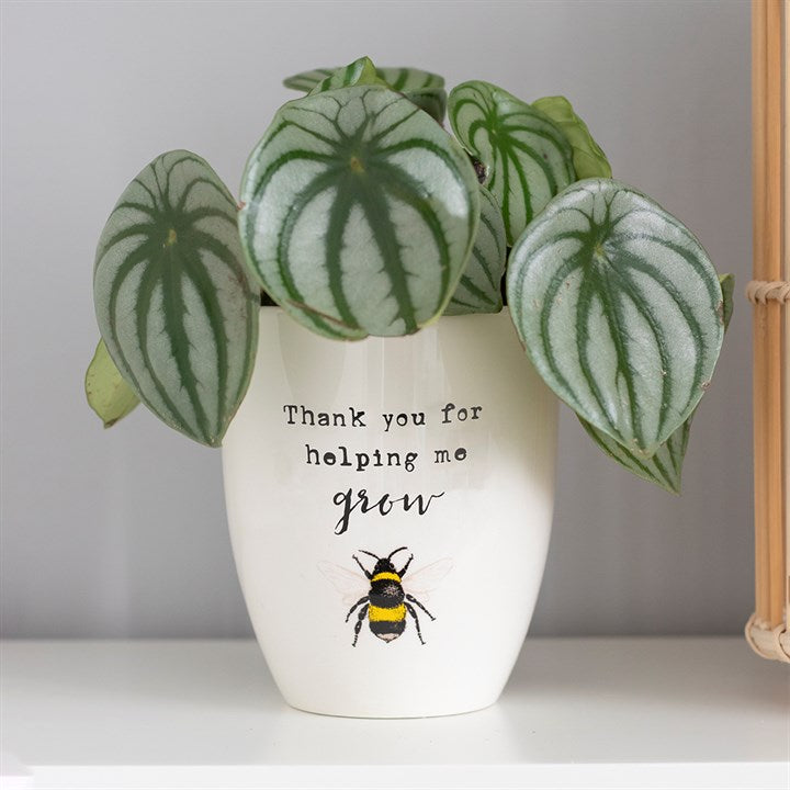 Thanks For Helping Me Grow Ceramic Planter - Penny Rose Home and Gifts